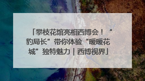 攀枝花馆亮相西博会！“豹局长”带你体验“暖暖花城”独特魅力｜西博视界